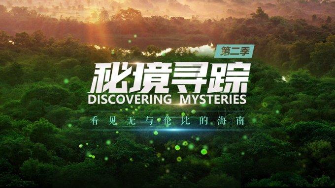 白色森林逃脱